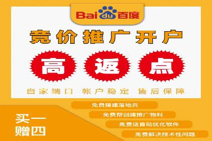 案例解读：SEO与SEM优化助力电商崛起